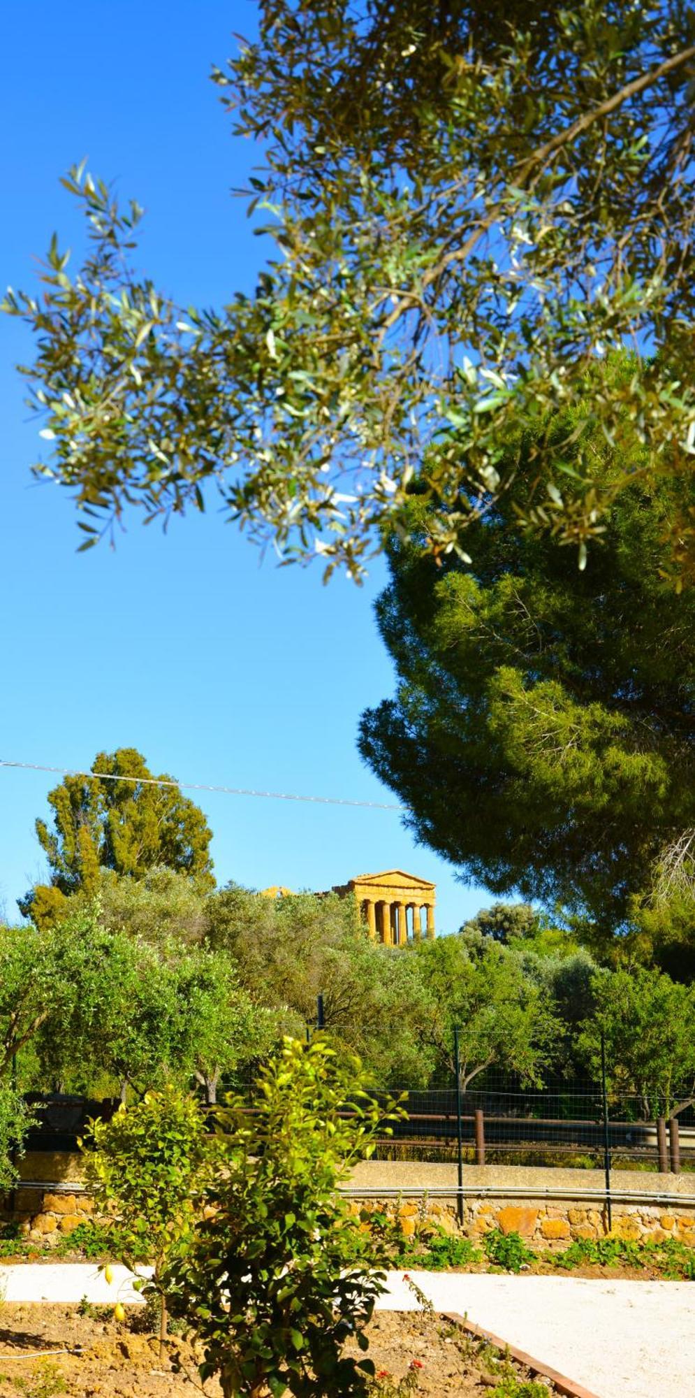 Il Giardino Del Tempio Bed & Breakfast Agrigento Exterior photo
